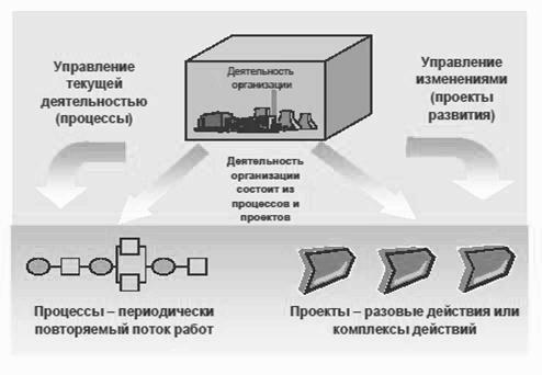 ИКЕА изнутри (бизнес-кейс)