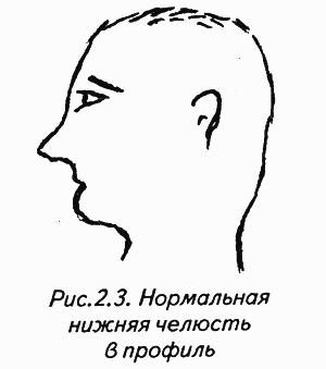 История лица. Мастерская физиогномического психоанализа