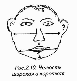 История лица. Мастерская физиогномического психоанализа