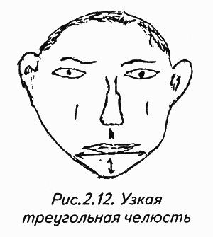 История лица. Мастерская физиогномического психоанализа