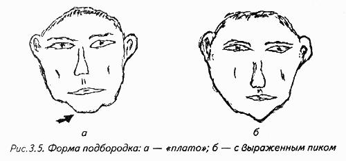 История лица. Мастерская физиогномического психоанализа