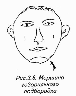 История лица. Мастерская физиогномического психоанализа