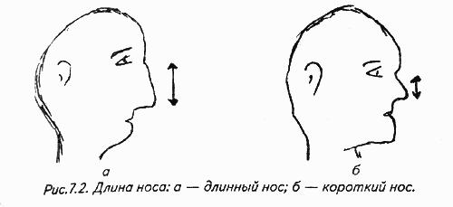 Как измерить длину носа человека схема