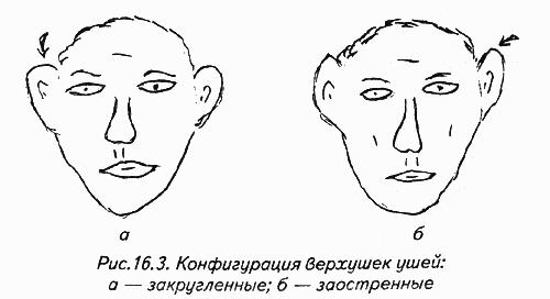 История лица. Мастерская физиогномического психоанализа