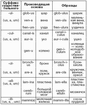 Латинский язык для медиков