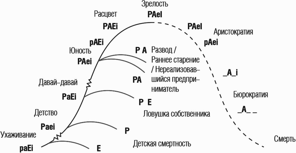 Ицхак адизес управление жизненным циклом