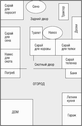 Неизвестное сельское хозяйство, или Зачем нужна корова?