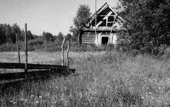 Неизвестное сельское хозяйство, или Зачем нужна корова?