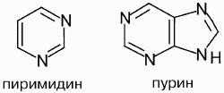 Пиримидин. Структурная формула пиримидина и Пурина. Формула Перина и перемидина. Пурины и пиримидины формулы. Пиримидин структурная формула.