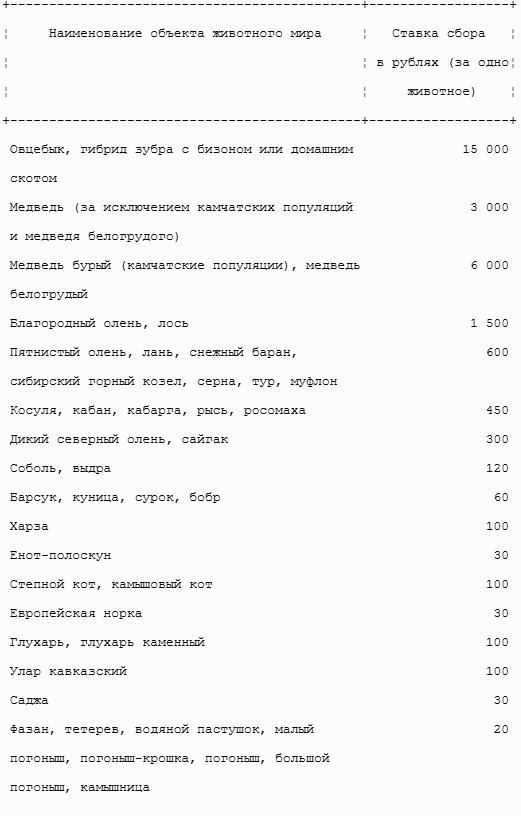 Все налоги России 2013